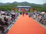 青島專業慶典禮儀策劃服務 點亮城市盛會，演繹品牌魅力